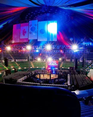 UFC 330