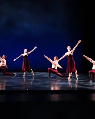 International Ballet Stars: Swan Lake